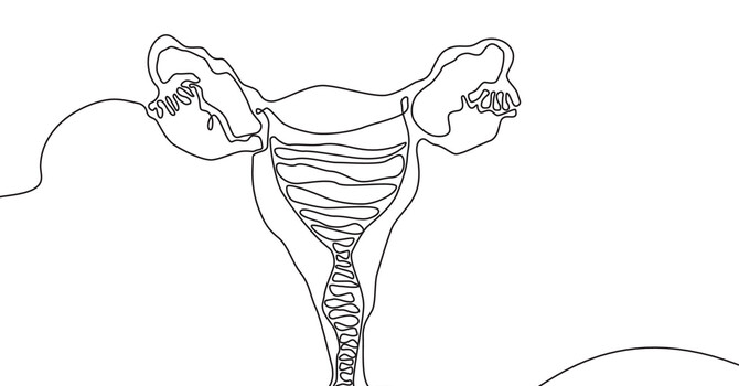 Pelvic Health Assessment